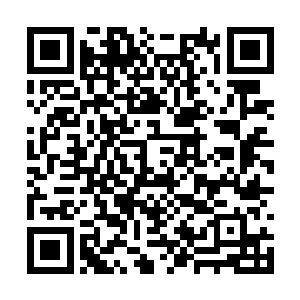 来祭奠历代牺牲在这里的阿斯特拉艾亚学院师祖们二维码生成