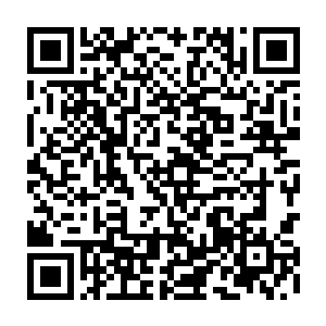 来自七十二寨主的一百六十九颗一品妖丹也全部被妖若仙给抖搂在了地上二维码生成