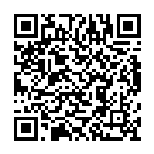 来自主神级势力的人都清楚引魂莲的珍贵与价值二维码生成