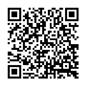 来自于自己宗师级别的丹道修为还有强大的浩然正气二维码生成