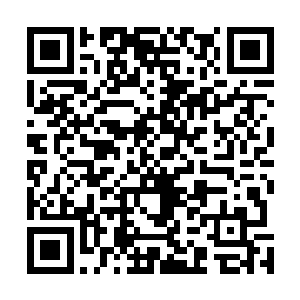 来自五城三郡的种子选手们将争夺魔影门十个入门的名额二维码生成