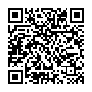 来自各大电影公司的电话和剧本也已经将奋进精英经纪公司淹没二维码生成