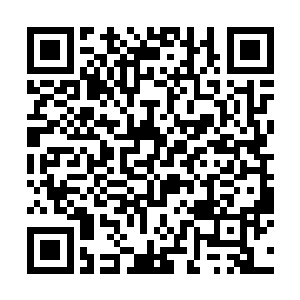 来自帝国秩序审查委员的法兰卡少校面无表情的说着二维码生成