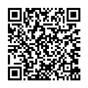 来自拉维斯公国的车队终于驶入白河谷地的地界二维码生成