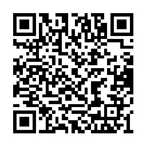 来自灵魂深处的畏惧让得他远远的躲着这口棺材二维码生成