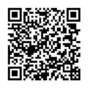 来自矿山家族和奥莱城城主府的人同时对雷天发起了攻势二维码生成