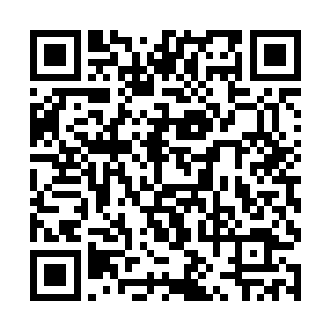 来自那不勒斯大学的真学者摸了一把头上渗出来的油二维码生成