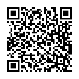 来自龙渊大陆的人目的在于结交留仙岛的各方势力二维码生成