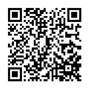 杨一凡便拿着他已经打印好的合同笑呵呵地走了出来二维码生成