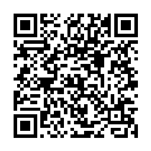 杨一凡指着合同上面的一些错误的地方对着黄依道二维码生成