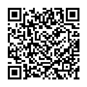 杨修元和金美凤白手起家创下了偌大的一份家业二维码生成