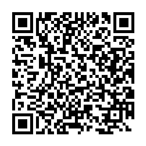 杨修元第一时间用自己的笔记本电脑读取了这几张光碟当中的内容二维码生成