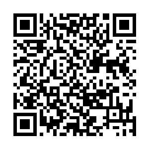 杨先生保的是被暂时认定为刺伤王泽仁儿子的凶手赵启文二维码生成