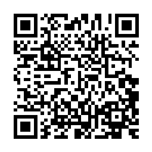 杨凌攻击所附带的麻痹效果也继承到了这些雷元素生命体的身上二维码生成
