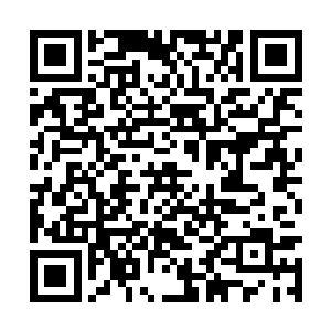 杨凌的机械军团虽然不如楚旬的妖兽异形军团强大二维码生成