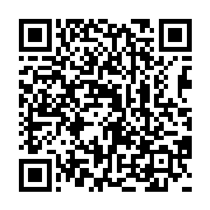 杨凤栖将手里的LV包随意的扔在了丁长生刚刚睡过的沙发上二维码生成