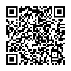 杨博喜作为勋贵中仅有的三个获赐密折殊荣的人二维码生成