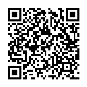 杨啸天的脸上顿时也是露出了一抹无比自豪的神情二维码生成