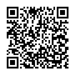 杨大贱人的夜枭组织已经是常平区首屈一指的大势力了二维码生成