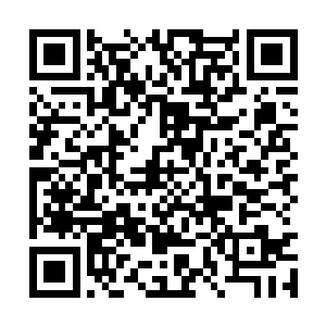 杨天华很知趣地自告奋勇护送孙默默和江琴心回家二维码生成