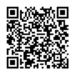 杨奇夫和邱楚倩急忙上前客气地跟杜海琼握了握手二维码生成