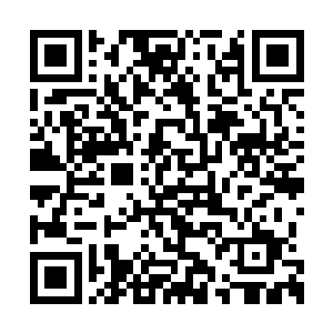 杨家天尊和族长见到两张仙符向着自己印了过来二维码生成