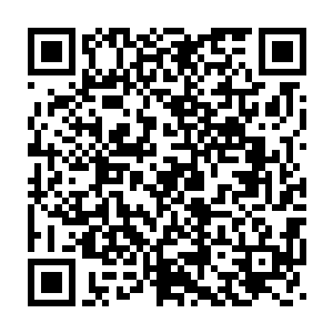 杨家肯定会成为第一个能够凌驾于四大宗门之上的霸主级别的势力二维码生成