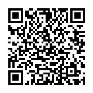 杨将军就安排了十几个人护送杨姑娘回京城投靠凌家二维码生成