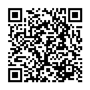 杨师傅跟余志顺利地将藏在马车里的大半东西都取出来了二维码生成