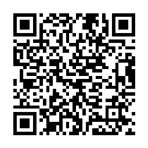 杨建军从来没有在教育厅的几位厅长面前提过他一个字二维码生成