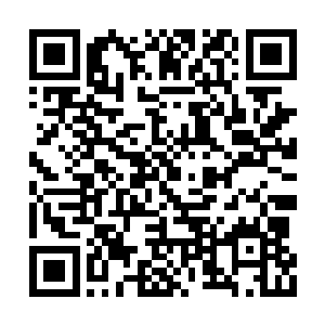 杨建军正提着他那只很有特色的大喷壶在浇着花二维码生成