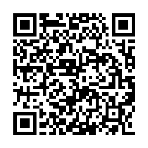 杨开一眼就瞥见此人脖子上有一条锁链般的东西二维码生成
