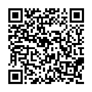 杨开不知道其他几个势力是如何保存红烛果肉的二维码生成