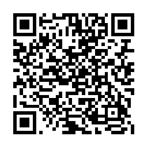 杨开与法身才刚刚变得模糊的身形重新凝实起来二维码生成