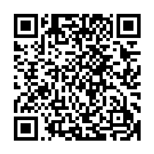 杨开与法身朝前扑去的身影瞬间就像是撞到了一面无形的墙壁二维码生成