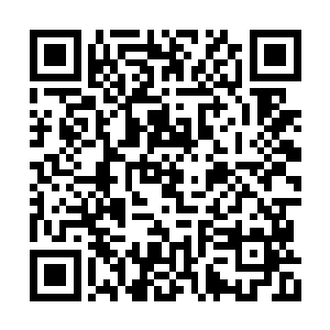 杨开也不知林韵儿把自己带来这里是也要干什么二维码生成