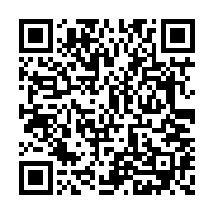 杨开也不知道该说这妞是真傻啊还是真傻啊……二维码生成