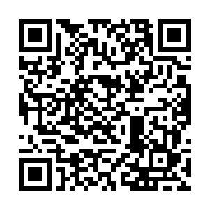 杨开也没想到玄界珠和法身一起能弄出那么大的动静二维码生成