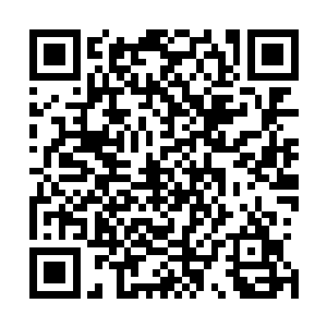 杨开也能通过琳琅宫控制整个乾坤洞天的世界伟力与之抗衡二维码生成