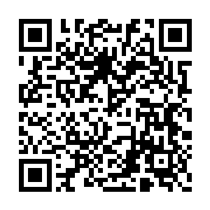 杨开体内金血的强大恢复能力终于发挥出了作用二维码生成