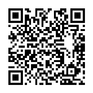 杨开前往无影洞天之前虽然留下了一些天元正印丹二维码生成