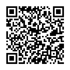 杨开又岂能不知道自己这几位夫人在打什么主意二维码生成