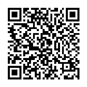 杨开发现那人脸现在正待在自己金身的某一个角落中二维码生成