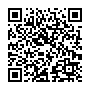 杨开只见到一朵大概有脸盆大小的莲花悬浮在半空之中二维码生成