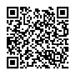 杨开和夏凝裳两人赫然来到了一个巨大的地下洞窟二维码生成