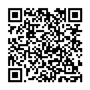 杨开将自己的神魂躲在七彩温神莲做幻化的岛屿之上二维码生成