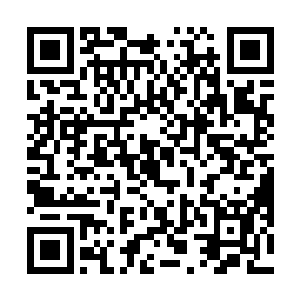 杨开就曾经揣测凑齐春夏秋冬四珠会有意想不到的收获二维码生成