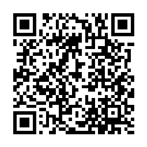 杨开已经狠狠一掌朝那夏姓武者所在的方位拍出一掌二维码生成