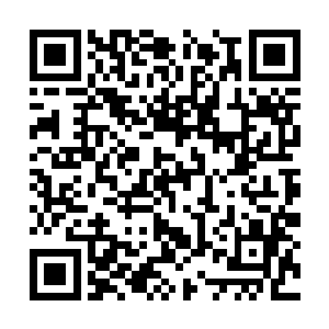 杨开心中一边想着关于长寿果和长寿丹的种种信息二维码生成