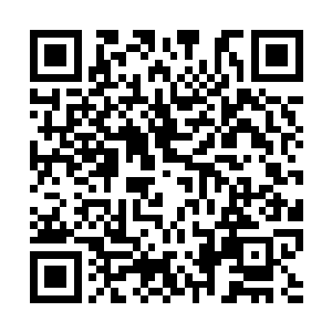 杨开所遭遇的比在那金系法则扭曲的世界要好的多二维码生成